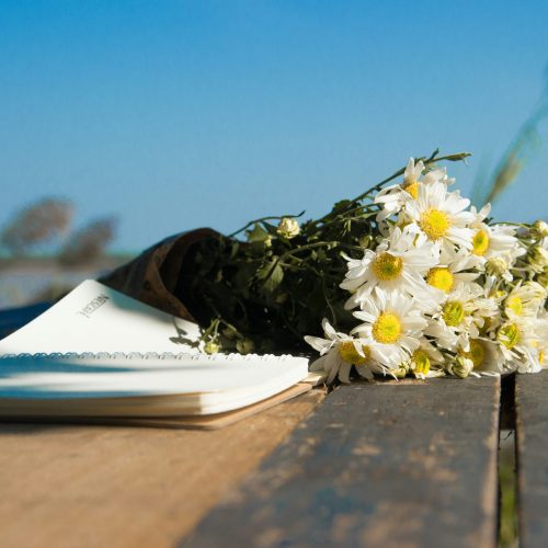 huyen-pham--PTlx55R-KU-unsplash